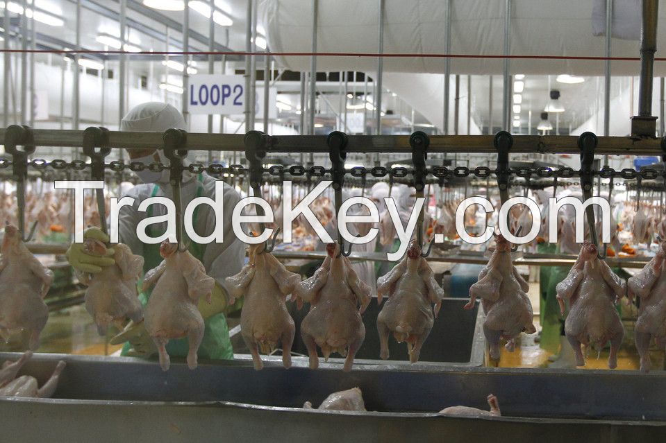 Ugur seafood and livestock production