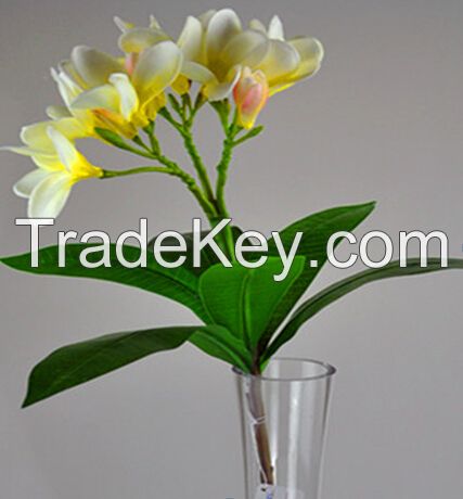 30 inch real touch artificial flower Frangipani