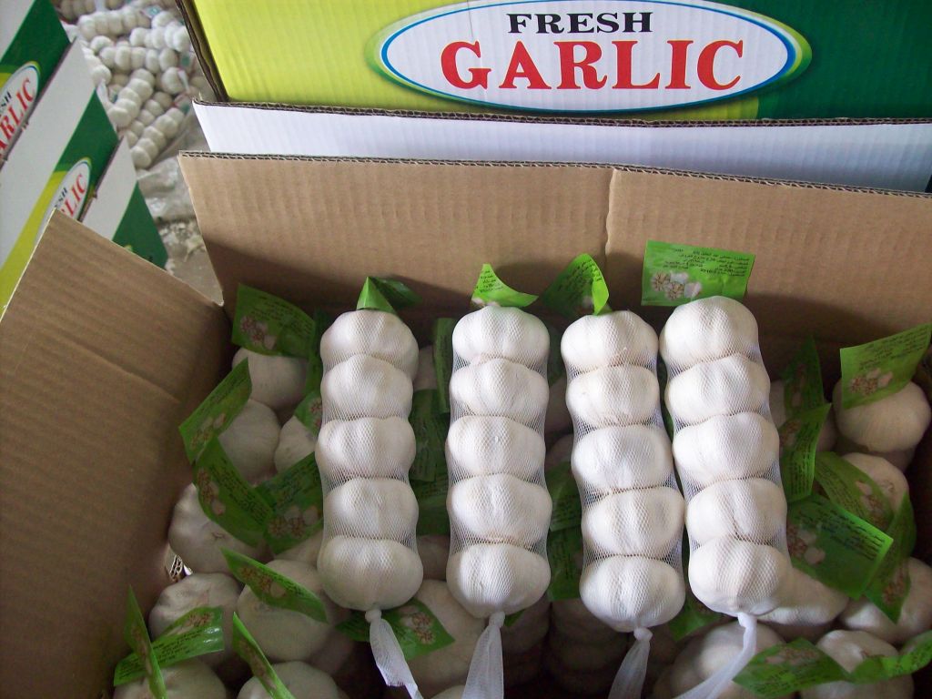 New crops fresh garlic 4.5cm-6.0cm