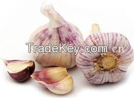 2014 fresh white garlic exporter in china
