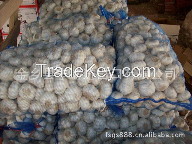 2014 new crop good quality fresh normal white garlic in carton