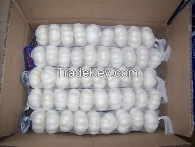 professional fresh pure white garlic supplier in shandong province