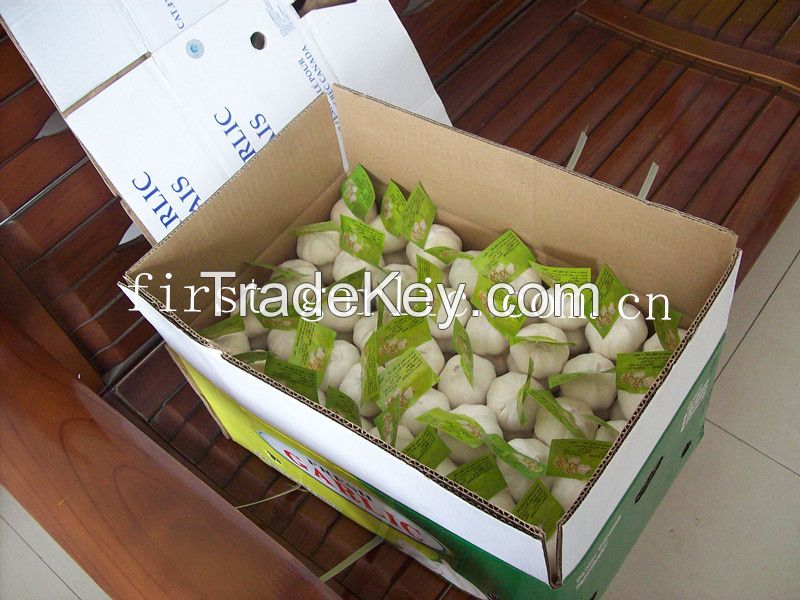2014 fresh pure white garlic exporter in 10kg carton