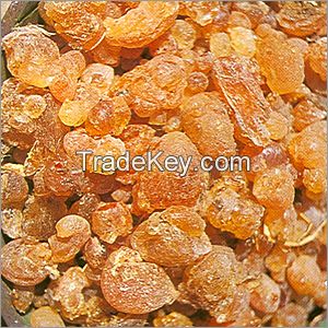 Gum Arabic