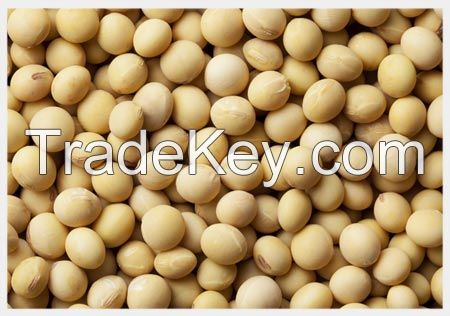 Soybeans