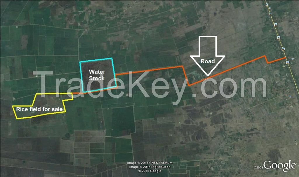 Agriculture Land for sale in Cambodia