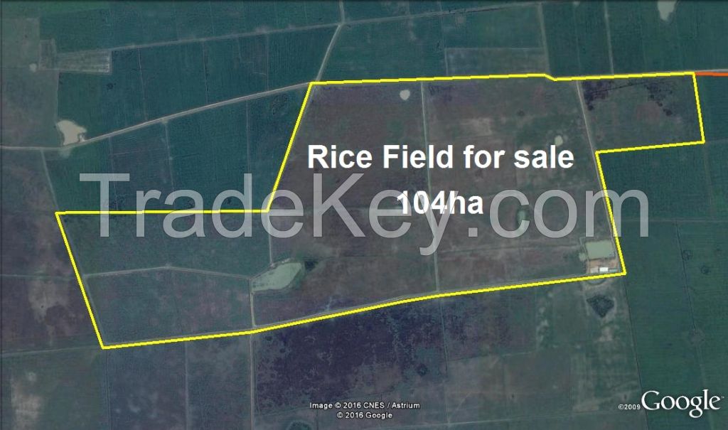 Agriculture Land for sale in Cambodia