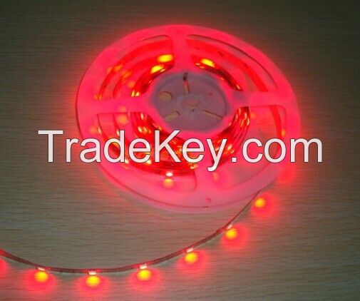 Hot sale  SMD 5050 60leds/m LED Strip Light 
