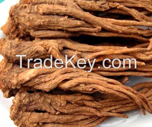 Chinese Angelica