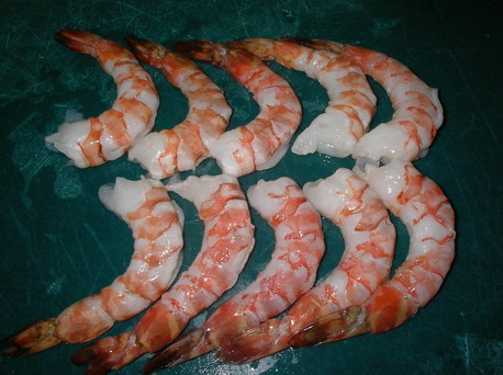 Sea Shrimp