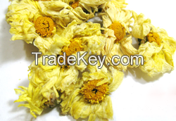 Dried Chrysanthemum; Chrysanthemum morifdium