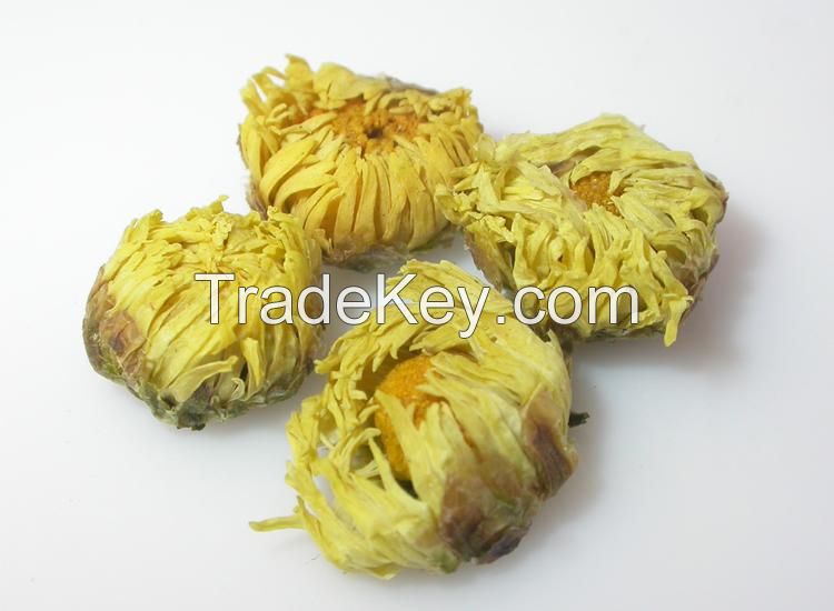 Fetail Chrysanthemum ramat tea