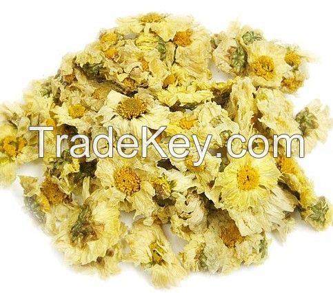 White Morifolium, Chrysanthemum Herbal Tea/Slim Tea, Dried Chrysanthemum Flower