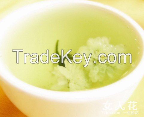 White Morifolium, Chrysanthemum Herbal Tea/Slim Tea, Dried Chrysanthemum Flower