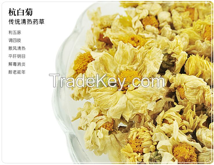 Hangzhou White Chrysanthemum