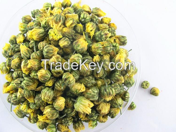 Manufacturer Supply White Chrysanthemum