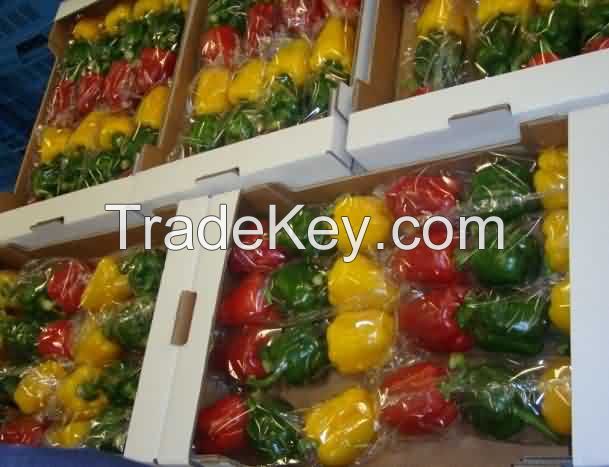 Fresh Capsicum