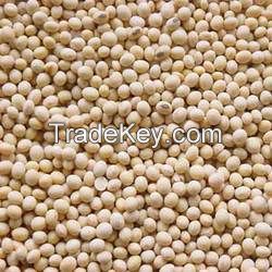 Soya Bean Seeds