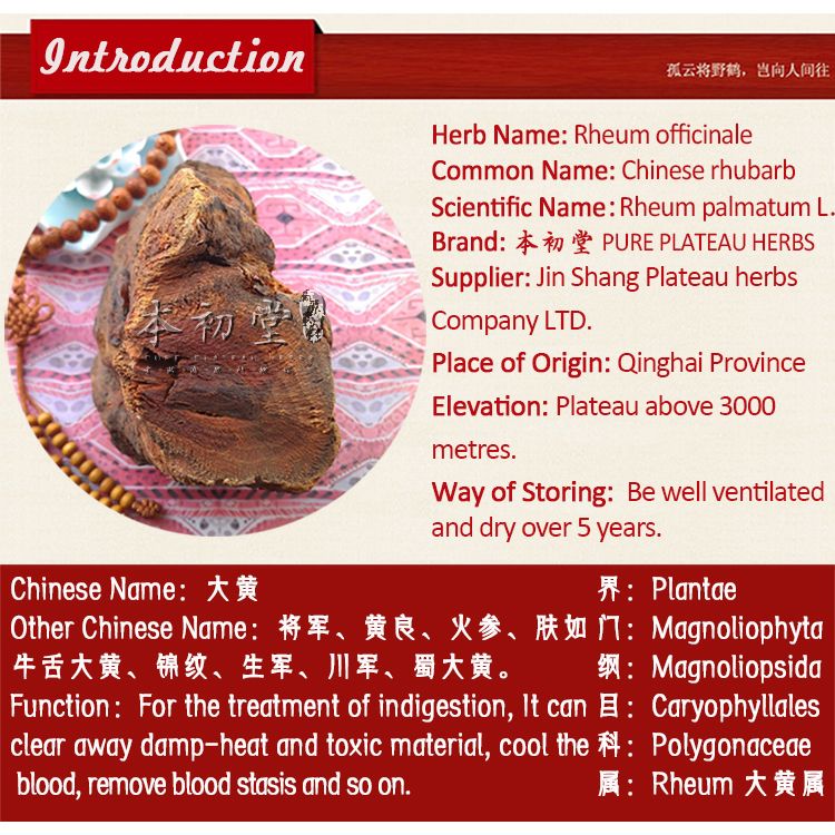 Rheum officinale/Chinese rhubarb/Rheum palmatum from Qinghai province.