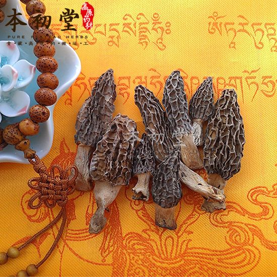 Toadstool/Morel/Morchella vulgaris from Sichuan province.