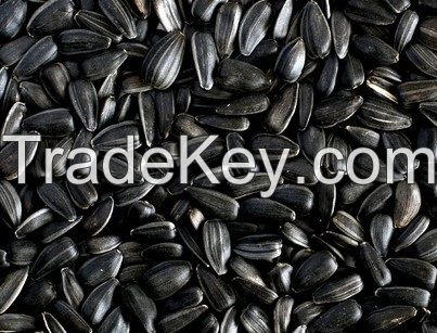 Sunflower kernels and seeds