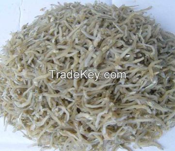 Dried Anchovy