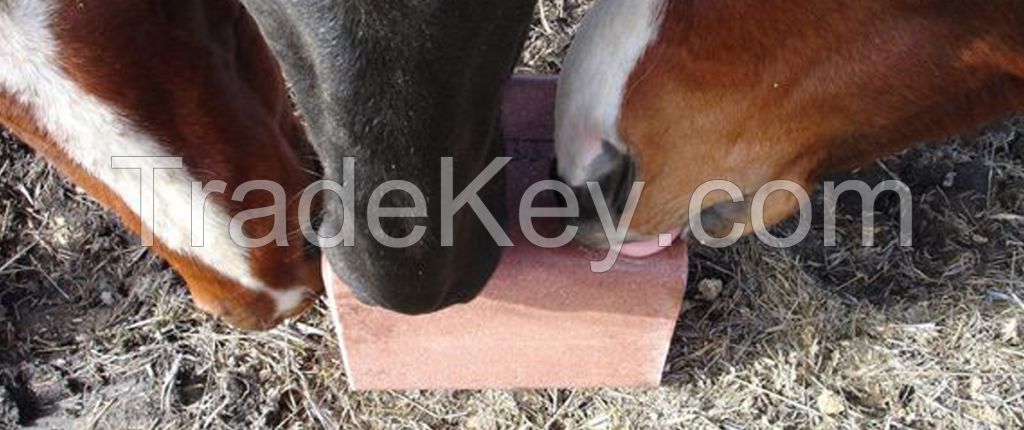 ANIMAL LICK SALT BRICK