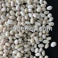 Brazilian 2016  Blanched Peanut Kernel