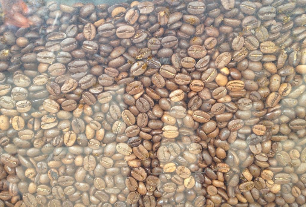 coffee beans coffee powder coffee Barako coffee Arabica - Cafe Horizon