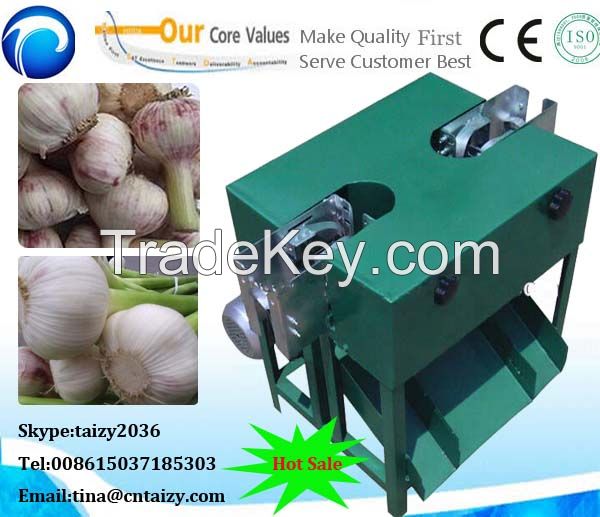High Speed Garlic Root Cutting Machine | Fresh Garlic Cutter Machine