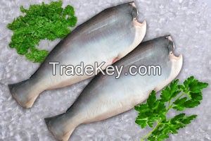 Pangasius HGT