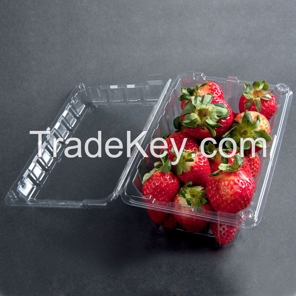 Fruit  and Vegetable Container