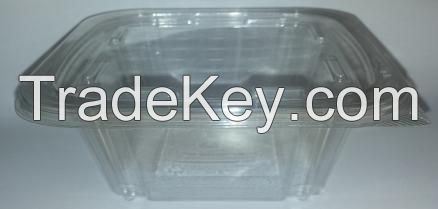 Plastic Clear Container Rectangular hinged