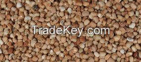 Cowpeas