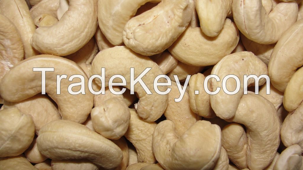 Cashew Nut 