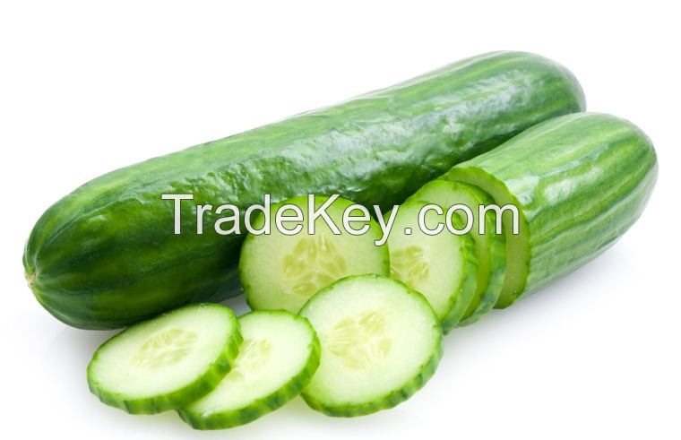 Fresh Cucumber