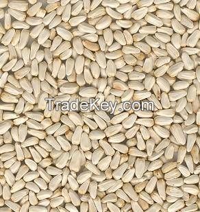 Safflower Seeds