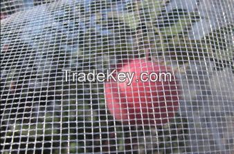 Hail Netting Protects Fruits and Vegetables from Hails