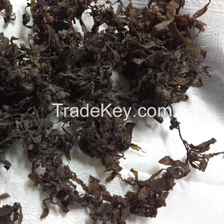 Dried Sargassum Seaweed/Seaweed Powder/ Ms.Thi Nguyen +84 988 872 713