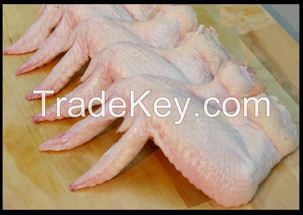 Frozen Processed/unProcessed Chicken Feet