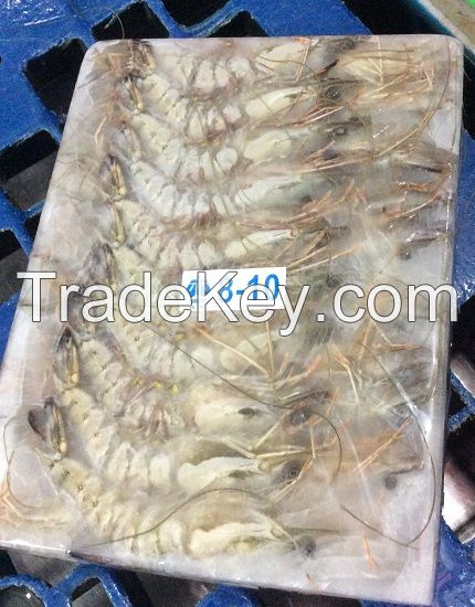 Black Tiger Shrimp (HOSO)