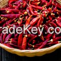 Chillies 