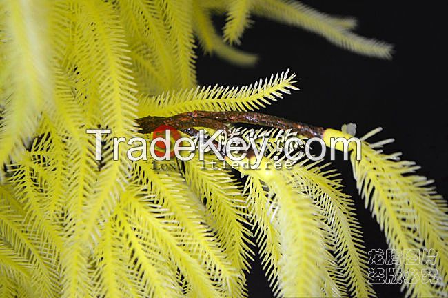Led decorative setaria grass lighted trees
