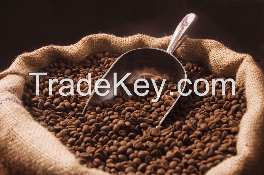 Arabica Coffee beans