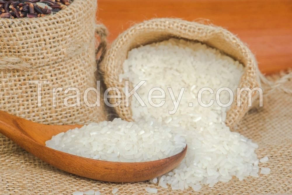 JAPONICA RICE-SALES2@TIGIFOODCO.COM