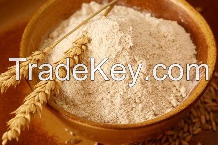 Wheat Flour For Sale