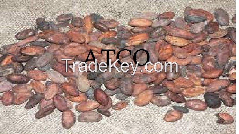 cocoa beans