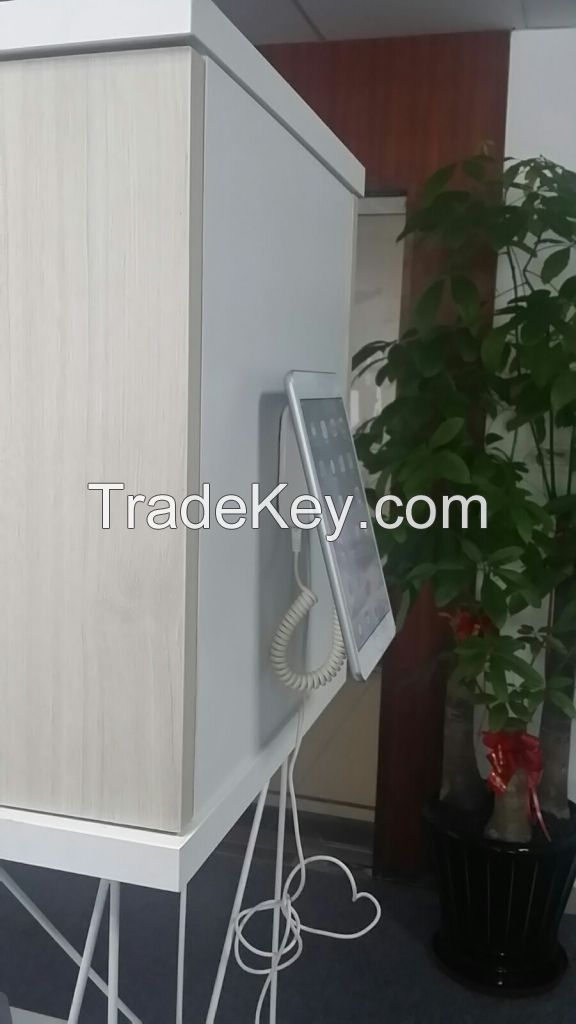 Display Security wall mounted mobilephone stand