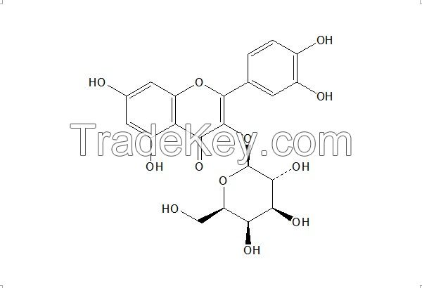 Hyperoside CAS Number 482-36-0  98.5% (LC&T)  9 Years Experience Manufacturer