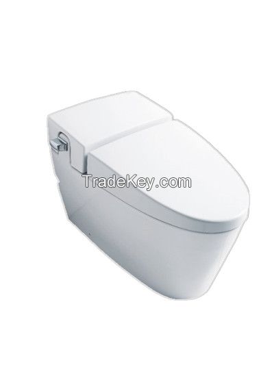 Hiden water tank wc toilet seat/Ceramic toilet bowl/Hotel design wc toilet/Luxury Floor-Mounted Toilet/modern toilet bowl-PR0853
